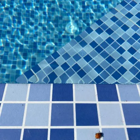 Agave Suites 1 Villa