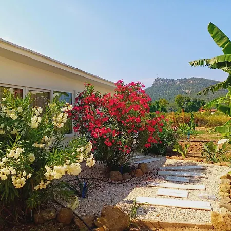 Villa Agave Suites 1 Kemer